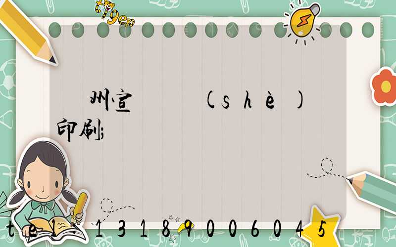 廣州宣傳冊設(shè)計印刷