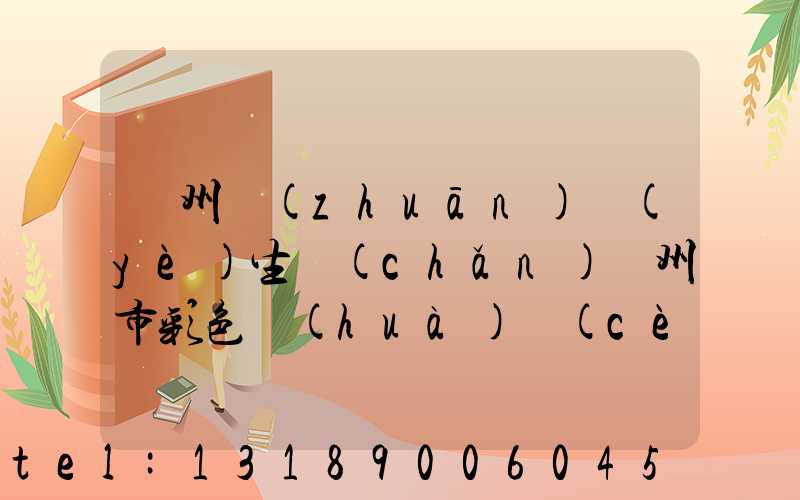 廣州專(zhuān)業(yè)生產(chǎn)廣州市彩色畫(huà)冊(cè)印刷廠